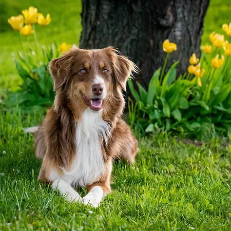 Apartment In Auf Sylt *