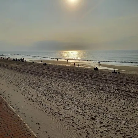 In Auf Sylt Apartment *